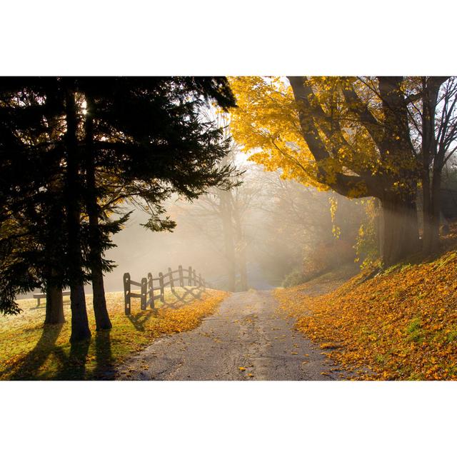 Country Road In Autumn by DenisTangneyJr - No Frame Print on Canvas Alpen Home Size: 81cm H x 122cm W on Productcaster.