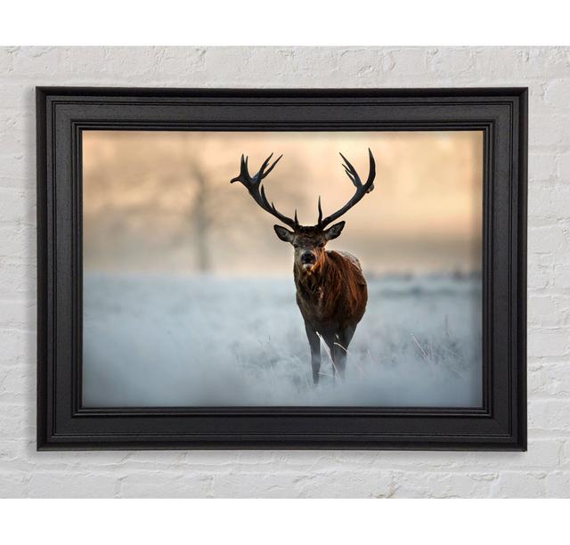 Single Picture Frame Art Prints Union Rustic Size: 100cm H x 141.4cm W on Productcaster.