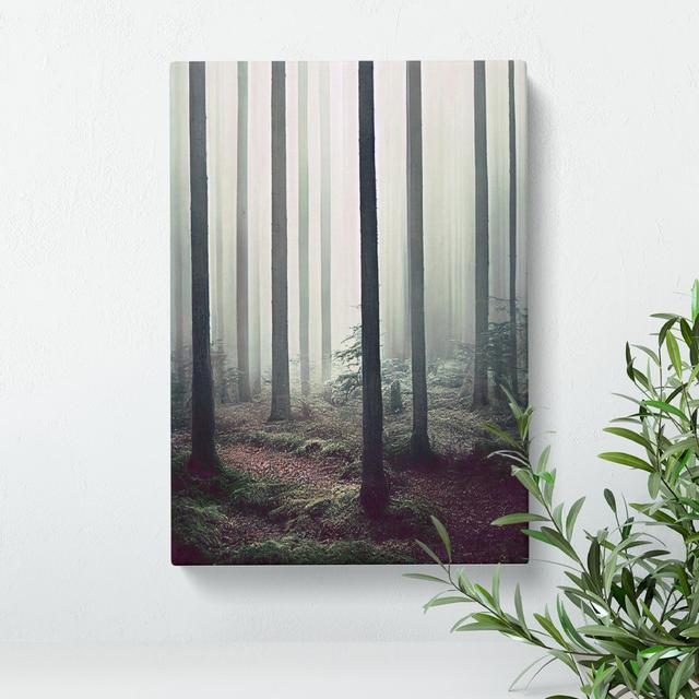 A Quiet Forest - Wrapped Canvas Graphic Art Alpen Home Size: 60cm H x 40cm W x 3cm D on Productcaster.