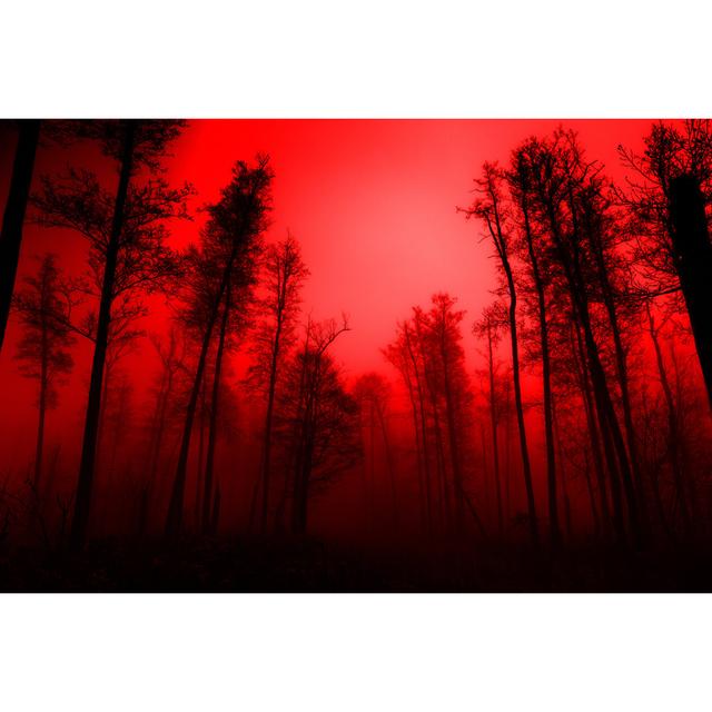 Red Foggy Forest by Antagain - Print Alpen Home Size: 51cm H x 76cm W x 3.8cm D on Productcaster.