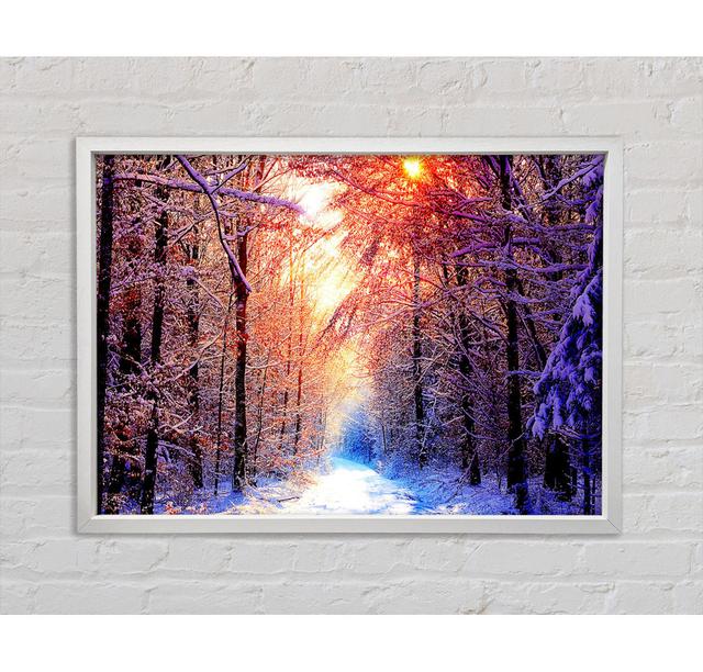 Winter Sun Blaze - Print Union Rustic Size: 100cm H x 141.4cm W on Productcaster.