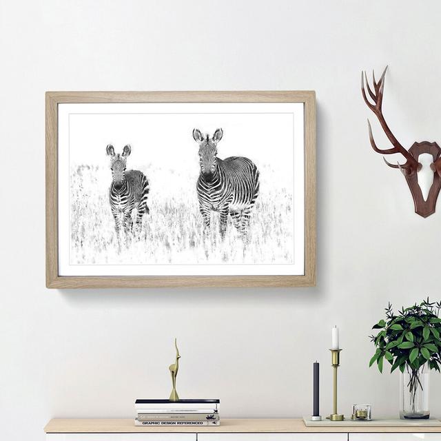 Two Zebras - Picture Frame Painting Print East Urban Home Frame Option: Oak Framed, Size: 33cm H x 45cm W x 2cm D on Productcaster.