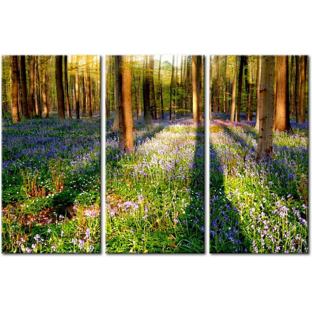 'Spring Forest' Photograph Multi-Piece Image on Wrapped Canvas East Urban Home Size: 60 cm H x 90 cm W on Productcaster.