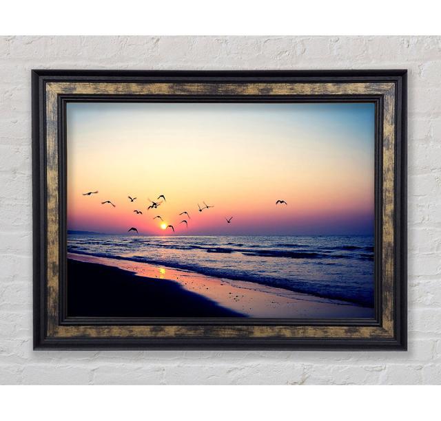 Single Picture Frame Art Prints Bright Star Size: 21cm H x 42cm W on Productcaster.