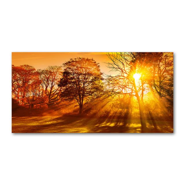 Sunset - Unframed Art Prints Ebern Designs Size: 50cm H x 100cm W x 2cm D, Format: Canvas on Productcaster.