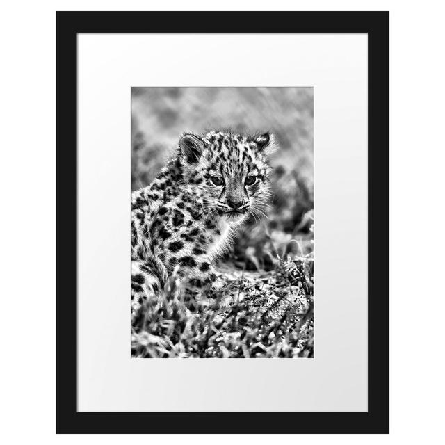 Gerahmtes Poster Junger Leopard im Gras East Urban Home Größe: 38 cm H x 30 cm B on Productcaster.