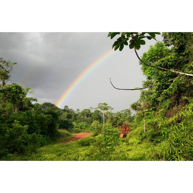 Rainbow On The Rainforest by Pepitevoyage - Wrapped Canvas Photograph 17 Stories Size: 76cm H x 76cm W on Productcaster.