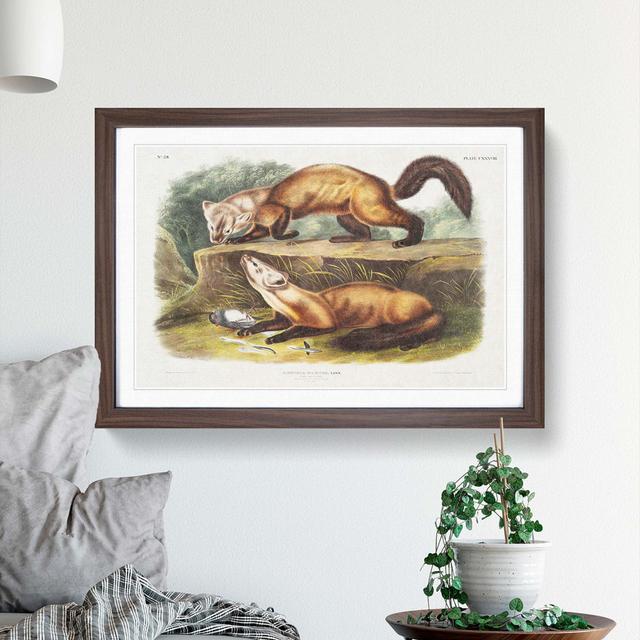 Pine Martens by J.W. Audubon - Picture Frame Painting Print on MDF East Urban Home Size: 48cm H x 65cm W x 2cm D, Frame Option: Walnut Framed on Productcaster.