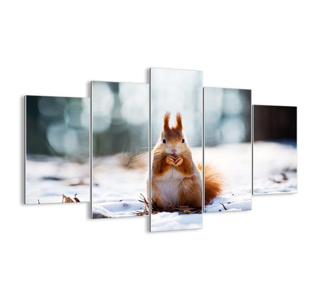 What Are You Looking at? - 5 Piece Unframed Photograph Print Set on Glass Union Rustic Size: 100cm H x 150cm W x 1.8cm D on Productcaster.