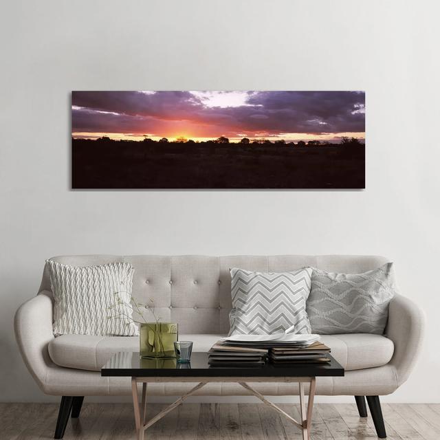 Sunset over the Savannah Plains, Kruger National Park, South Africa - Wrapped Canvas Panoramic Photograph Union Rustic Size: 60.96cm H x 182.88cm W x on Productcaster.