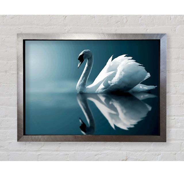 Reflections Of A Swan - Druck Brayden Studio Größe: 84,1 cm H x 118,9 cm B x 3,4 cm T, Format: Poster mit schwarzem Rahmen on Productcaster.