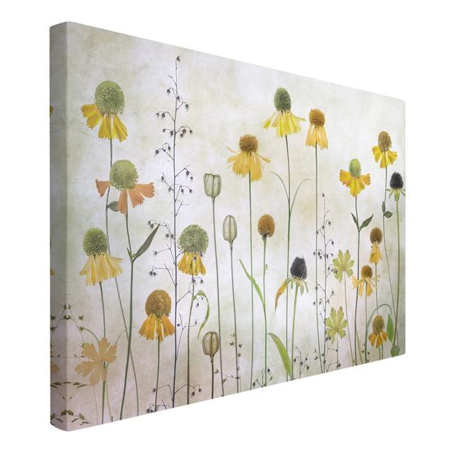 Delicate Helenium Flowers - Wrapped Canvas Graphic Art Ebern Designs Format: 260g/m² Canvas, Size: 61cm H x 41cm W, Frame Option: Canvas on Productcaster.