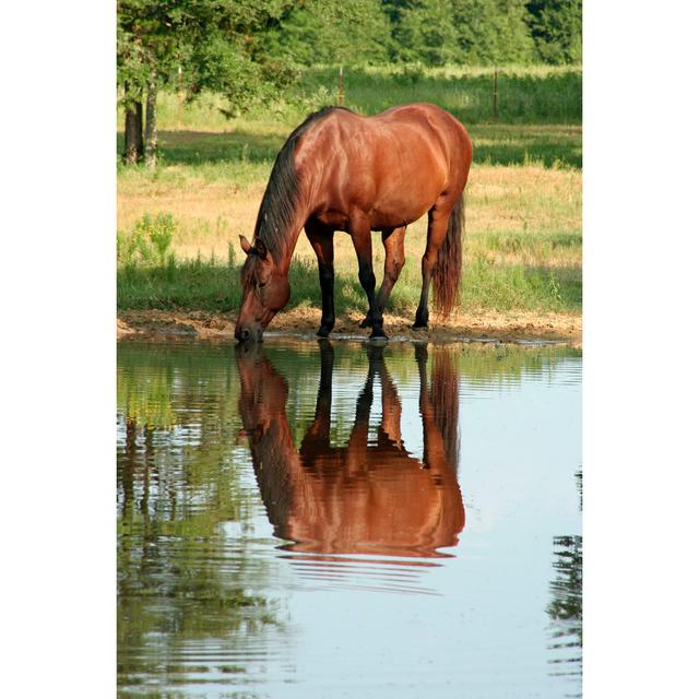 Pond Reflection by Kkgivens - Wrapped Canvas Photograph 17 Stories Size: 122cm H x 81cm W on Productcaster.