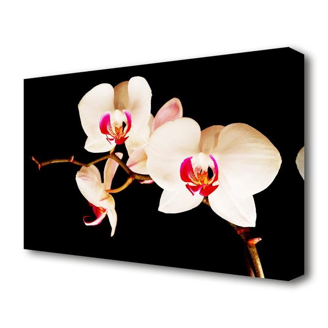 Butterfly Orchid Petals Flowers Canvas Print Wall Art East Urban Home Size: 101.6 cm H x 142.2 cm W on Productcaster.