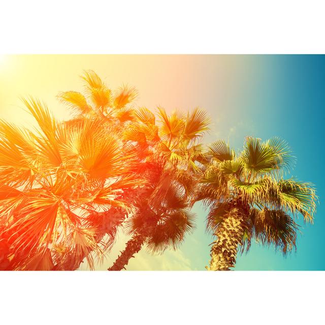 Retro Palm Trees Against Sky At Sunset by Vvvita - Wrapped Canvas Print 17 Stories Size: 20"H x 30"W on Productcaster.