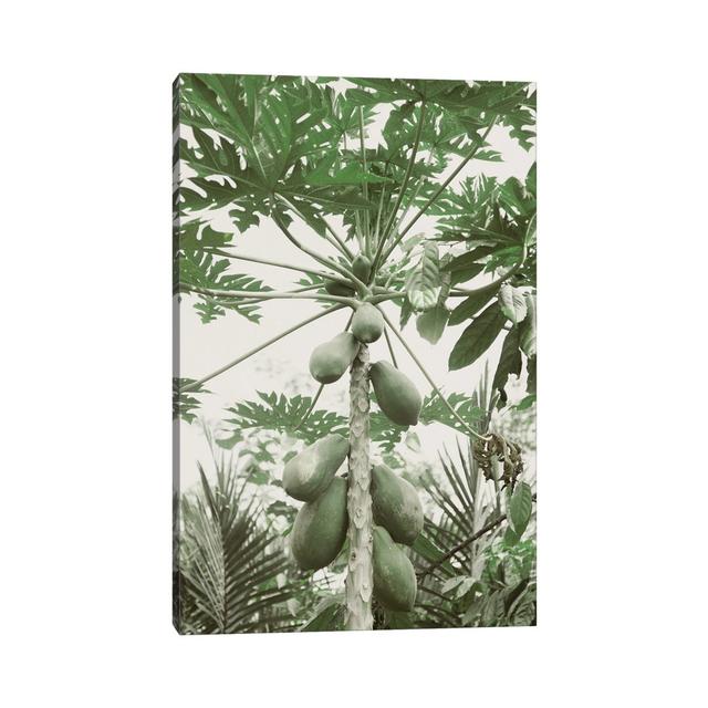 Jungle IV by Magda Izzard - Wrapped Canvas Graphic Art Bay Isle Home Size: 45.72cm H x 30.48cm W on Productcaster.