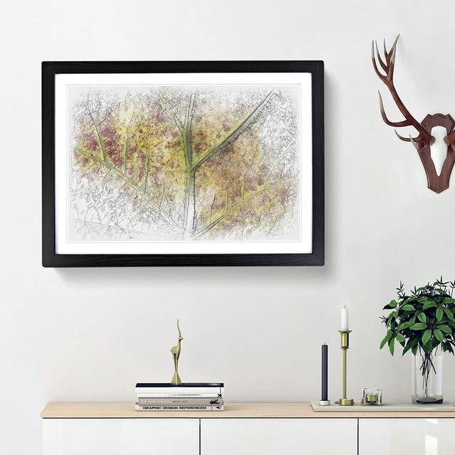 Veins of the Leaf Sketch - Picture Frame Graphic Art Print East Urban Home Frame Option: Black Framed, Size: 36cm H x 48cm W x 2cm D on Productcaster.