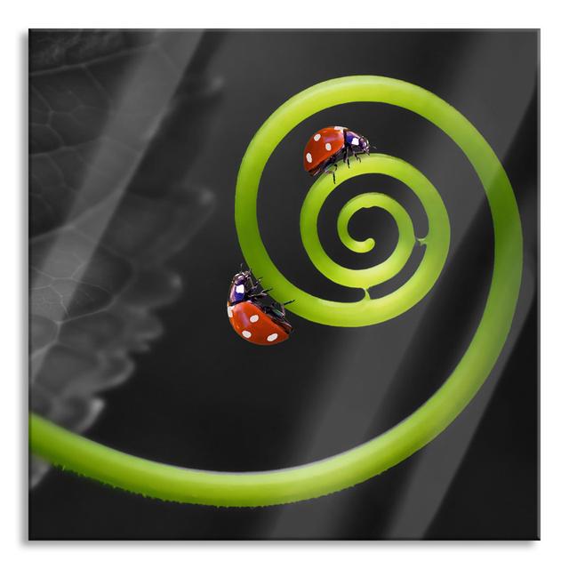 Two Ladybirds on a Tendril - Unframed Photograph on Glass Brayden Studio Size: 70cm H x 70cm W x 0.4cm D on Productcaster.