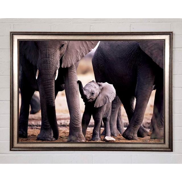 Baby Elephant Love - Single Picture Frame Art Prints Brayden Studio Size: 84.1cm H x 118.9cm W x 1.5cm D on Productcaster.