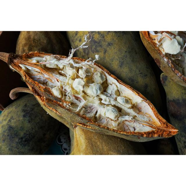 Open Baobab Fruit by Jonnysek - Wrapped Canvas Photograph Latitude Run Size: 51cm H x 76cm W on Productcaster.