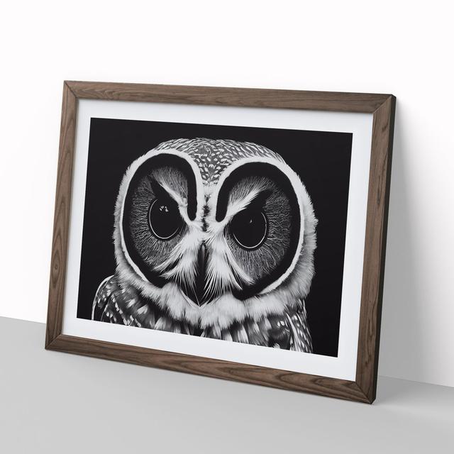 Timeless Owl - Picture Frame Graphic Art Alpen Home Size: 25cm H x 34cm W x 2cm D, Frame Colour: Walnut Framed on Productcaster.