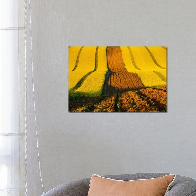 Czech Republic, Moravia, Rapeseed Field II by Mikolaj Gospodarek - Wrapped Canvas Print Latitude Run Size: 45.72cm H x 45.72cm W x 1.905cm D on Productcaster.