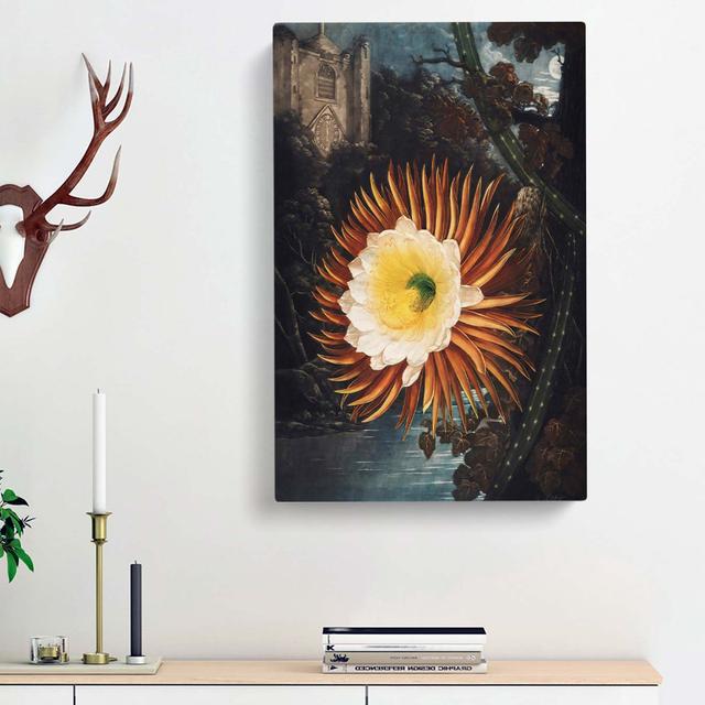 Blooming Cacti by R.J. Thornton - Wrapped Canvas Painting Print East Urban Home Size: 76cm H x 50cm W x 3cm D on Productcaster.