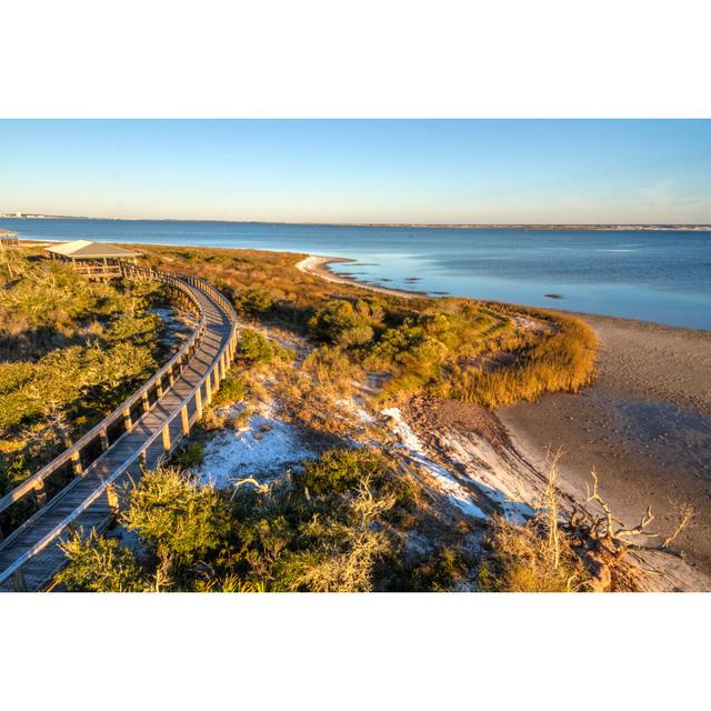 Boardwalk And Dune Vegetation House of Hampton Size: 30cm H x 46cm W on Productcaster.