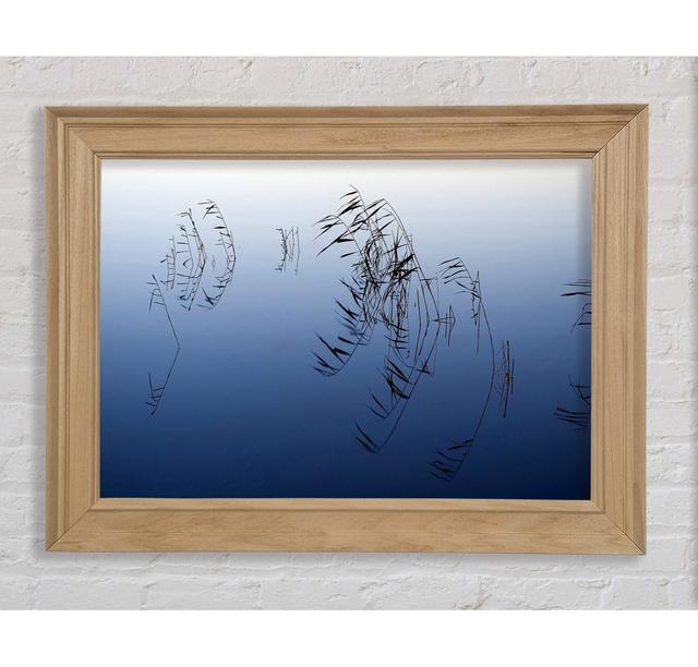 Pond Reeds Framed Print Bright Star Size: 42cm H x 59.7cm W on Productcaster.