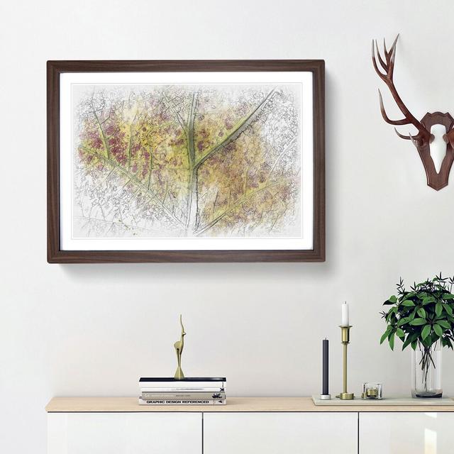 Veins of the Leaf Sketch - Picture Frame Graphic Art Print East Urban Home Size: 45cm H x 63cm W x 2cm D, Frame Option: Walnut Framed on Productcaster.