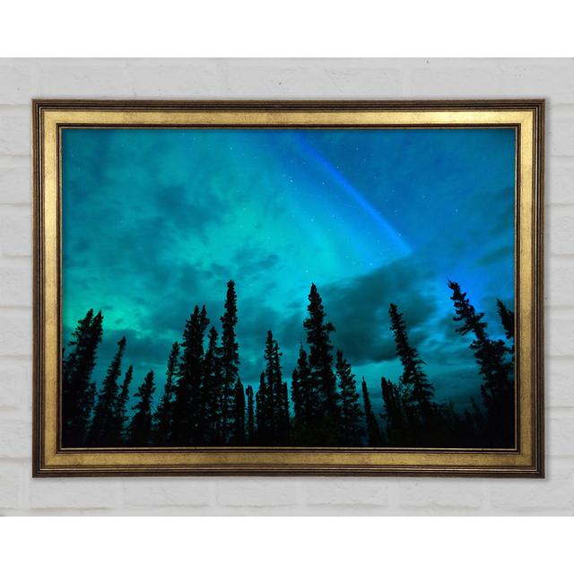 Lapland Forest Trees - Single Picture Frame Art Prints Union Rustic Size: 42cm H x 59.7cm W x 1.5cm D on Productcaster.