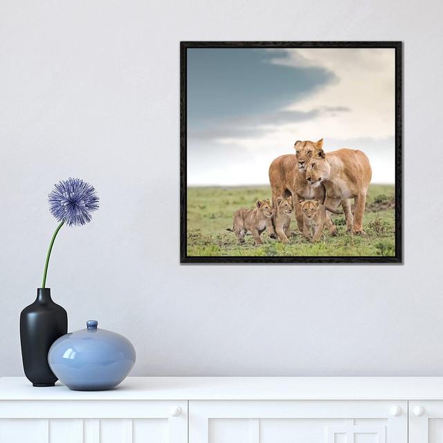 Colour Lioness & Cubs by Klaus Tiedge - Print on Canvas World Menagerie Size: 45.72cm H x 45.72cm W x 3.81cm D, Format: Black Framed Canvas on Productcaster.