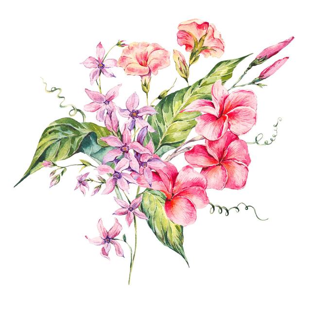 Watercolor Botanical Illustration ClassicLiving Size: 91cm H x 91cm W 3.8cm D on Productcaster.