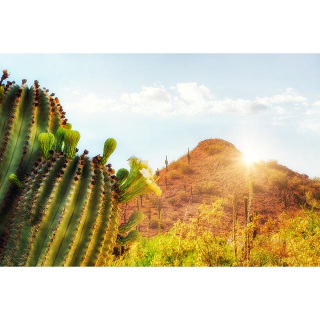 Arizona Desert Scene with Mountain and Cactus - Wrapped Canvas Photograph Natur Pur Size: 61cm H x 91cm W x 3.8cm D on Productcaster.