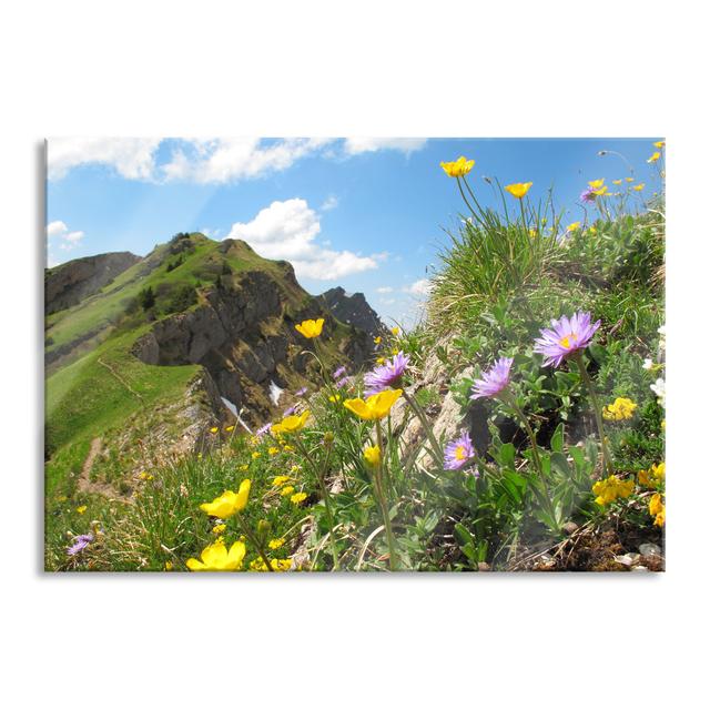 Flower Meadow in Spring - Unframed Photograph on Glass Union Rustic Size: 70cm H x 100cm W x 0.4cm D on Productcaster.