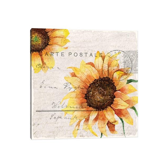 Sunflower Postcard II by Kimberly Allen - Wrapped Canvas Print August Grove on Productcaster.