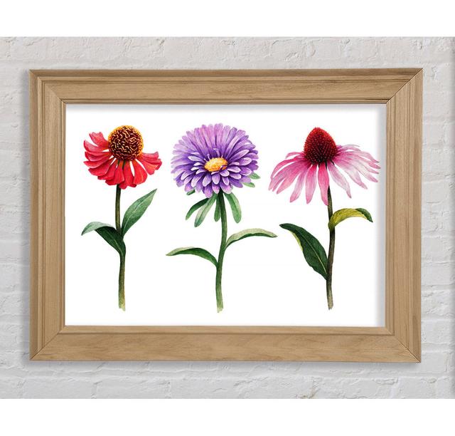 Trio Of Garden Flowers - Print Bright Star Size: 59.7cm H x 84.1cm W x 8cm D on Productcaster.