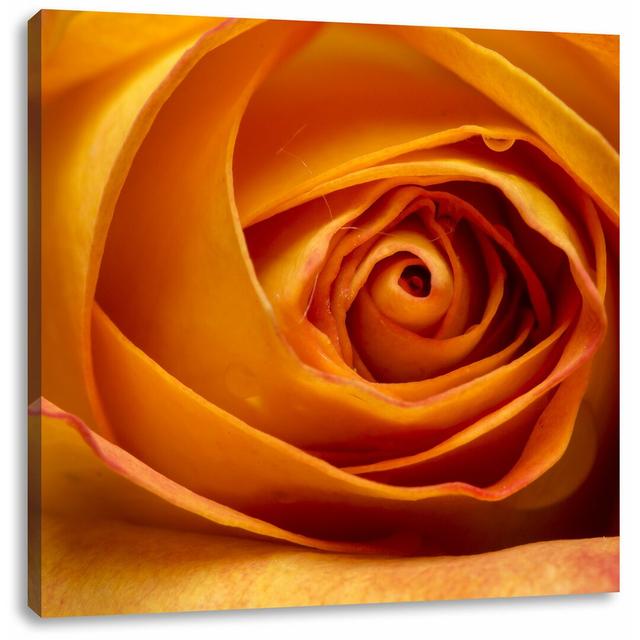 Leinwandbild Graceful Yellow Closed Rose East Urban Home Größe: 70 cm H x 70 cm B x 1,8 cm T on Productcaster.