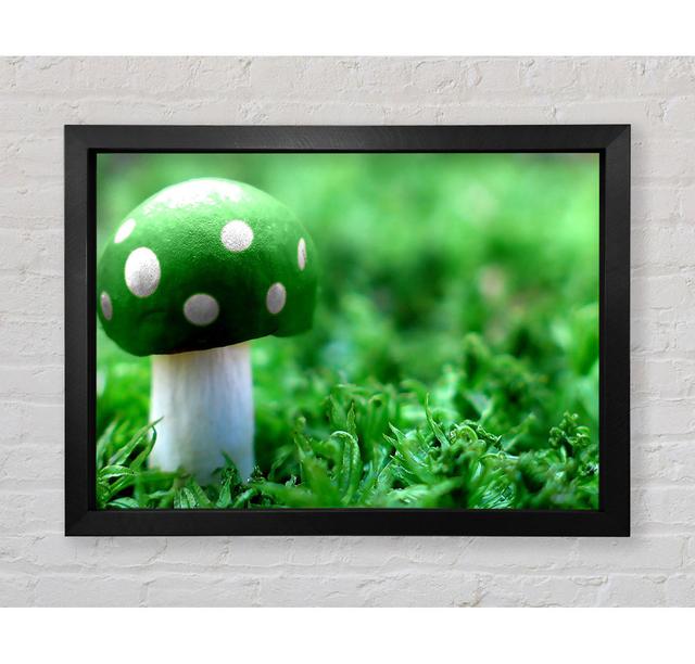 Green Mushroom - Print Ebern Designs Size: 59.7cm H x 84.1cm W on Productcaster.