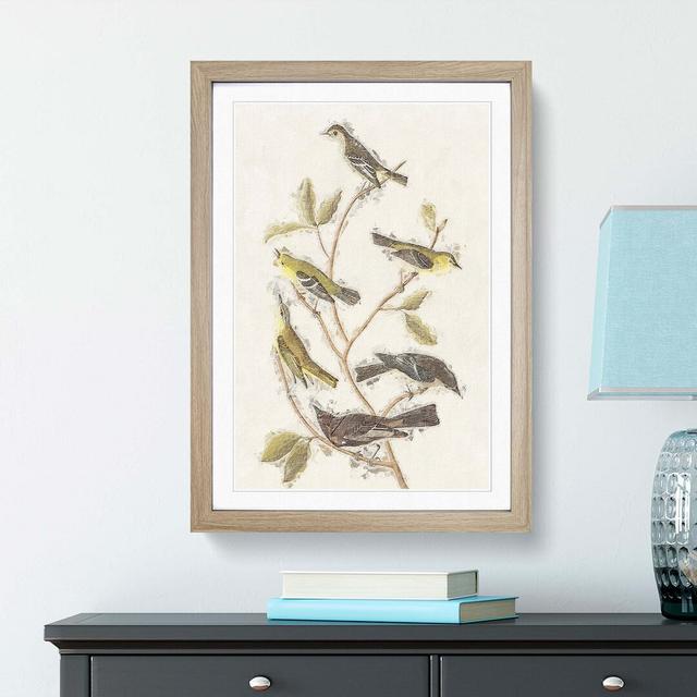 Collection of Birds by John Audubon - Picture Frame Painting East Urban Home Frame Option: Oak Framed, Size: 48cm H x 36cm W x 2cm D on Productcaster.