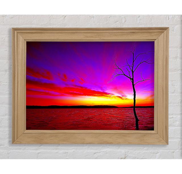 Sunset Tree Rainbow Skies - Single Picture Frame Art Prints Bright Star Size: 29.7cm H x 42cm W x 8cm D on Productcaster.