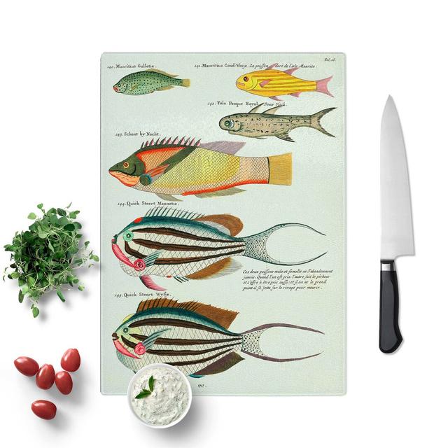 Glass East indies Fish Illustrations Fol. 26 by Louis Renard Chopping Board East Urban Home Size: 28.5 cm W x 20 cm L on Productcaster.