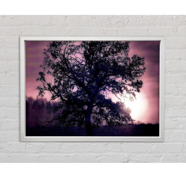 Tree Under Full Moon - Single Picture Frame Art Prints on Canvas Bright Star Size: 59.7cm H x 84.1cm W x 3.3cm D on Productcaster.