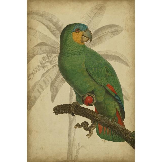 Parrot And Palm I - Wrapped Canvas Art Prints Pergo Classics Size: 122cm H x 81cm W x 3.8cm D on Productcaster.