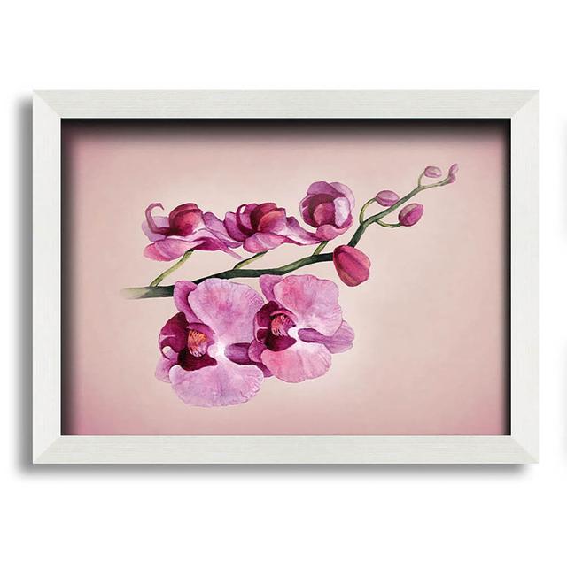 Colan Pink Orchid - Print ClassicLiving Size: 21cm H x 29.7cm W x 10cm D on Productcaster.