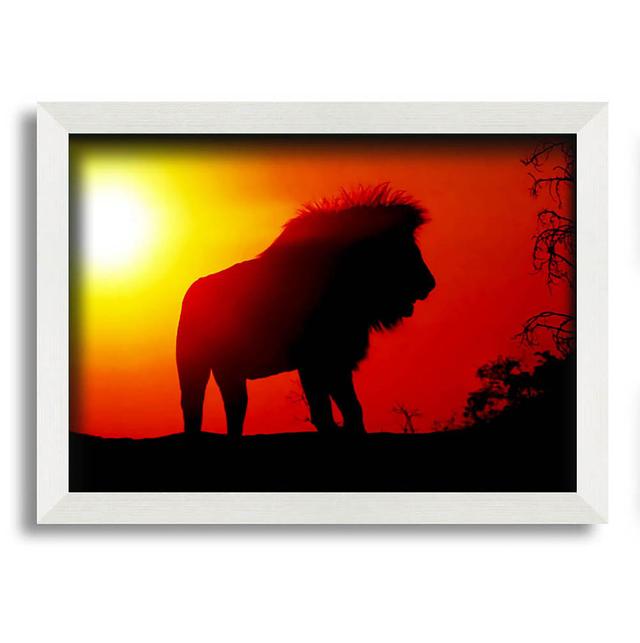 Clein Lion Sunset - Single Picture Frame Art Prints Latitude Run Size: 59.7cm H x 84.1cm W x 10cm D on Productcaster.