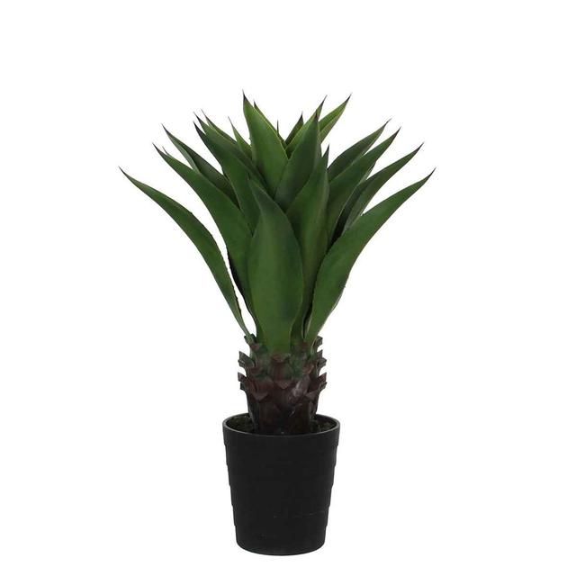 80cm Agave Plant in Pot The Seasonal Aisle on Productcaster.