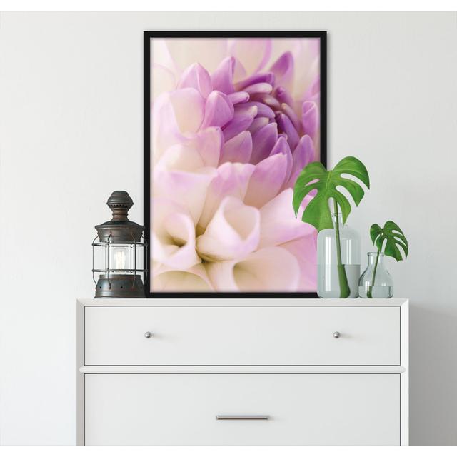 Gerahmtes Foto "Dreamy Lilac White Blossom" ModernMoments Größe: 100 cm H x 70 cm B x 2.5 cm T on Productcaster.