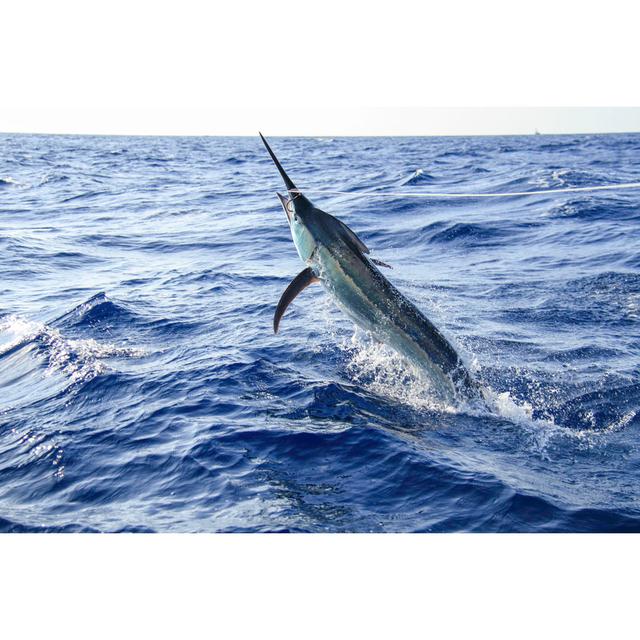 Black Marlin Jumping Near Boat Highland Dunes Size: 50.8cm H x 76.2cm W on Productcaster.