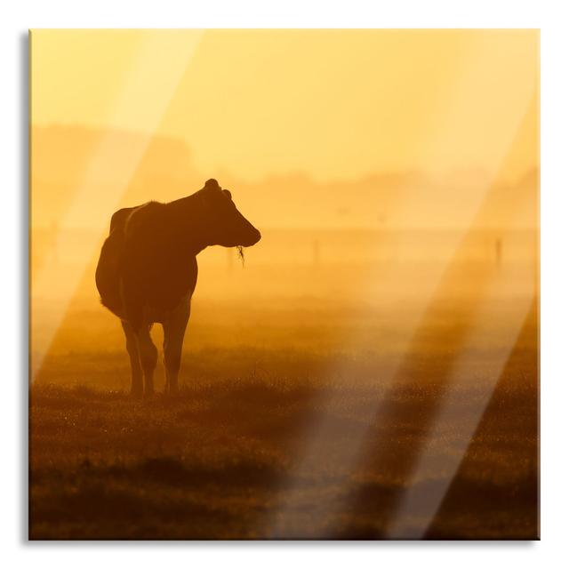 Cow Grazing in a Pasture - Unframed Graphic Art on Glass Brayden Studio Size: 60cm H x 60cm W x 0.4cm D on Productcaster.